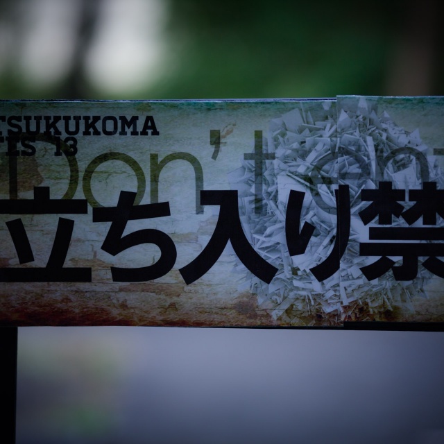 TSUKUKOMA FES. 2013 DAY2