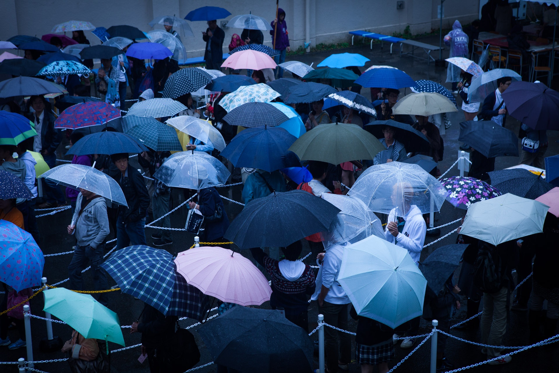 筑駒文化祭、１日目は雨